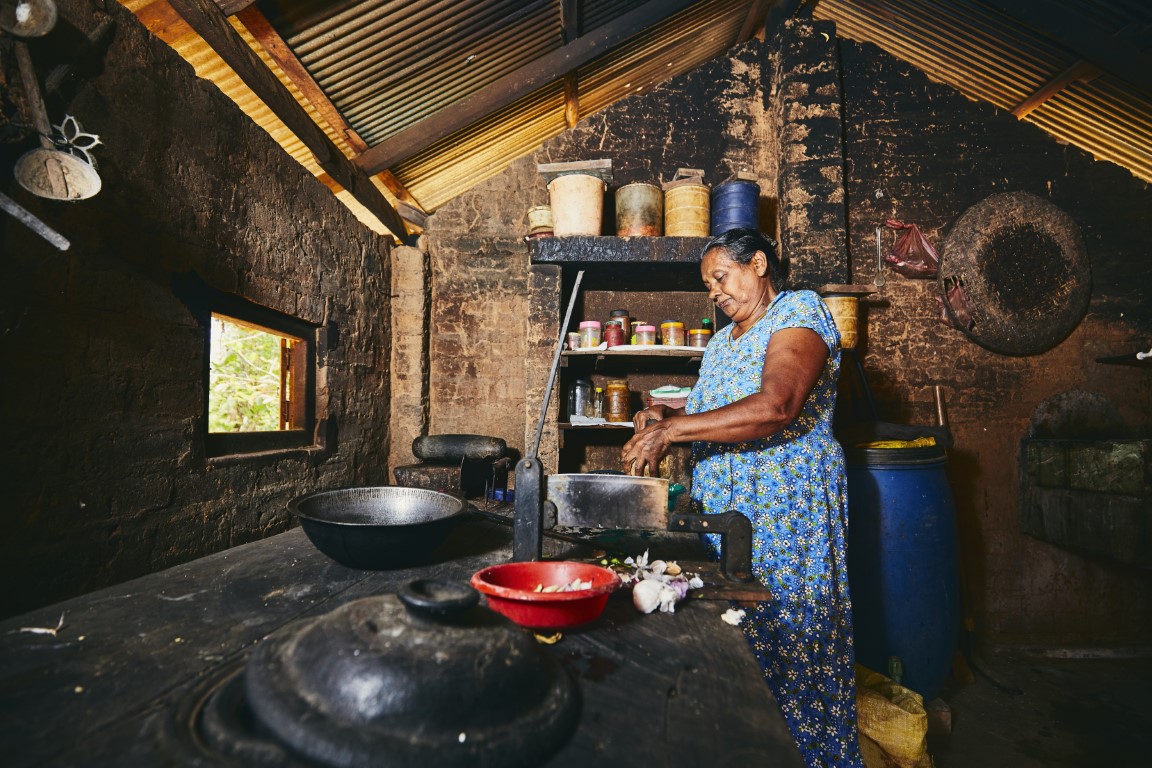 Sri Holiday Tours Activities